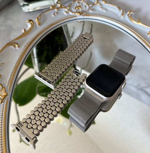 SILVER  SLINKY APPLE  WATCHBAND